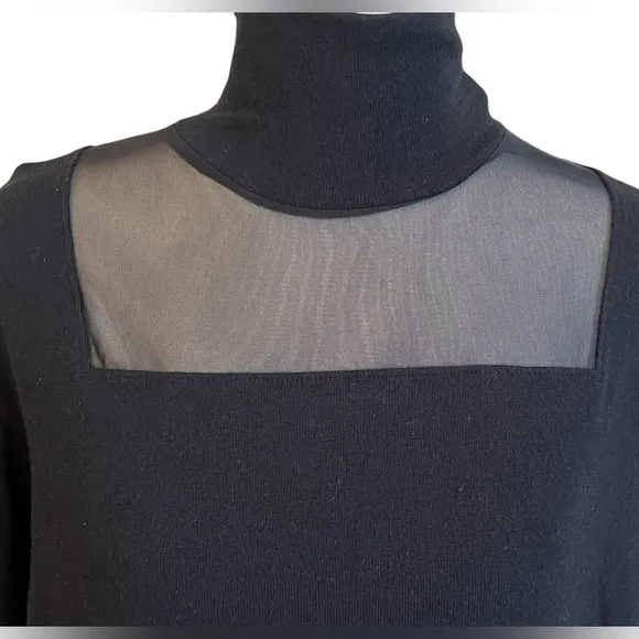 LNA LYRA BRUSHED TURTLENECK TOP IN BLACK