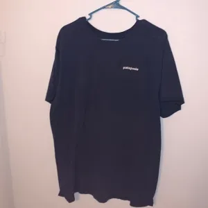 Patagonia Graphic Tee